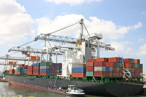 國際貨代海運單證員 英語能力是關(guān)鍵，化妝品批發(fā)行業(yè)知識是加分項